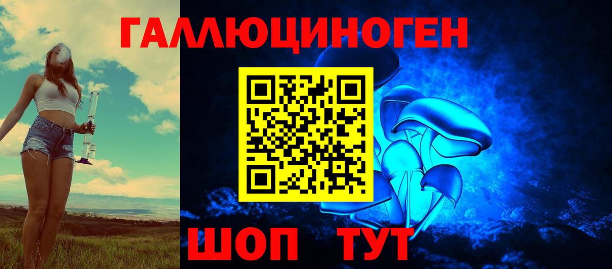 Мурманск  Галлюциногенные грибы прущие грибы  Вход с VPN 