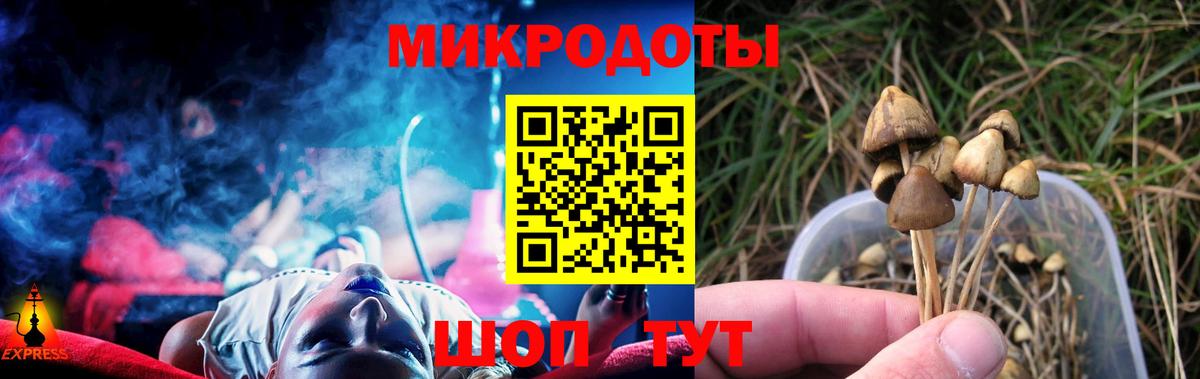Псилоцибиновые грибы Psilocybine cubensis Мурманск